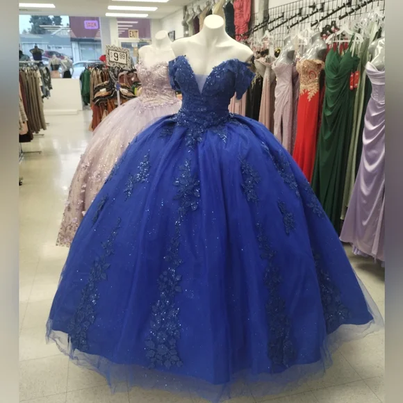 Elegant New Quinceañera Dress - Picture 1 of 11